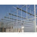 Venlo Glass Greenhouse para tomates de morango